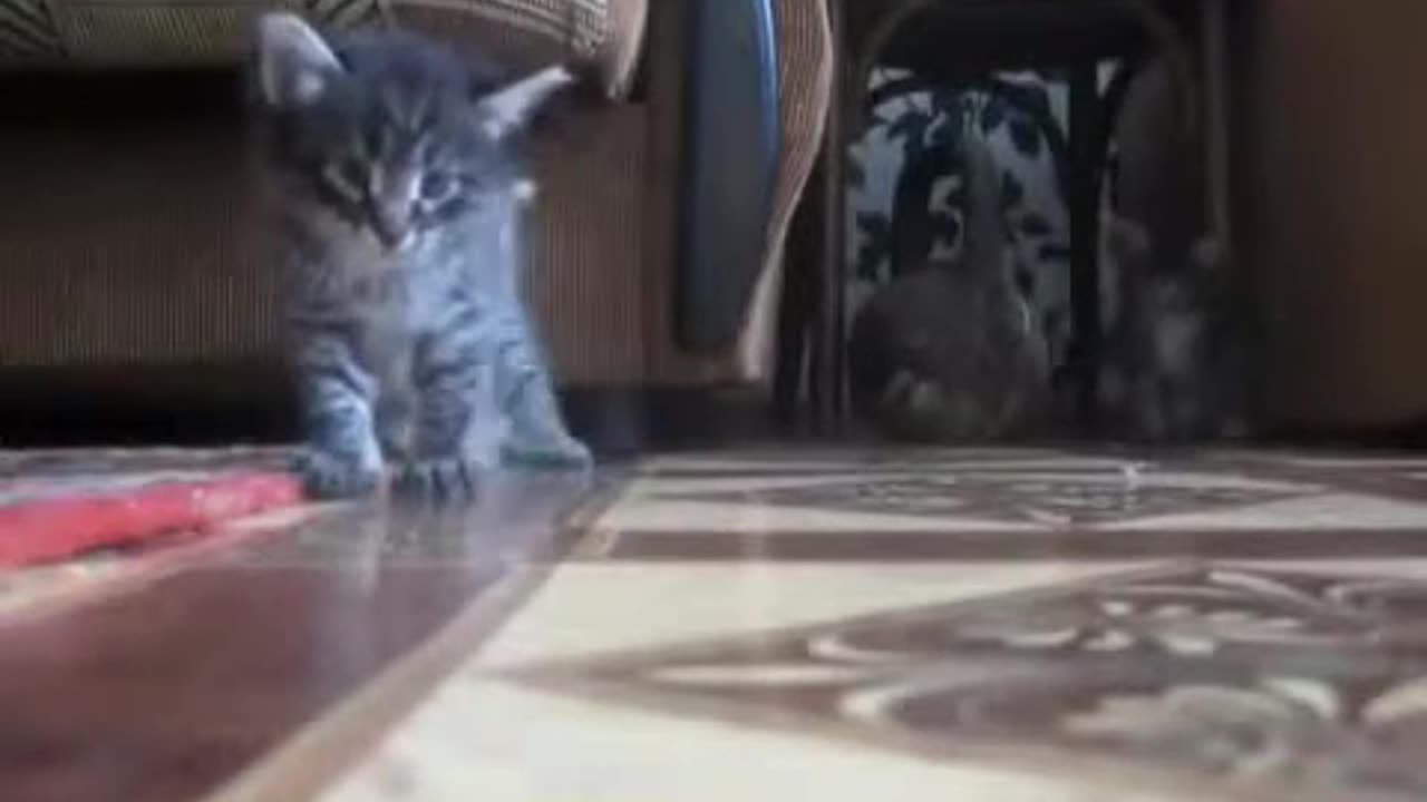 KOTIKI Hard crash in slow motion.