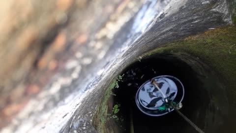 Cat Rescued After Falling Down Well