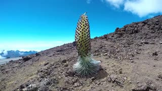 Haleakala, Maui, GoPro, Biking Down, July 2016