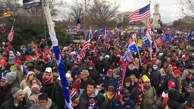 Trump, Washington, DC protest Jan 6th 2021 13