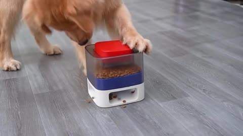 Pet Products Dog Food Catapult Square Doggy Automatic Slow Feeder ToysPet Toys