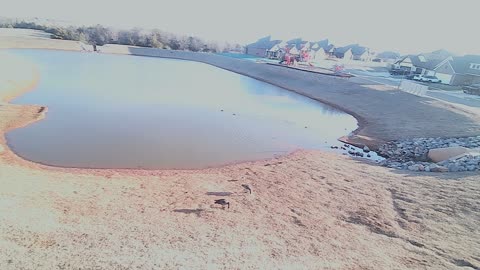 The Pond