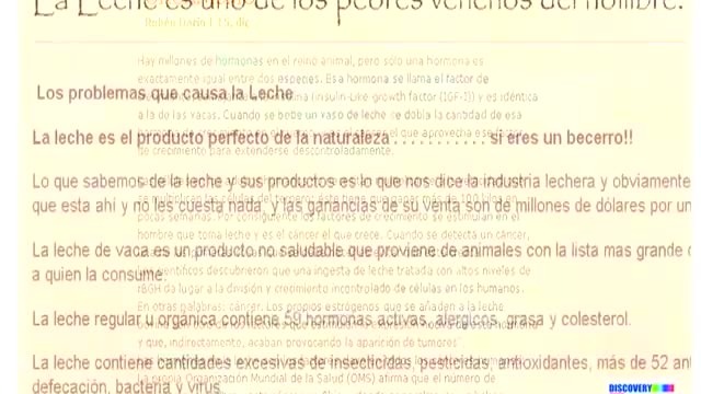 LECHE DE VACA NO ALIMENTA AL SER HUMANO