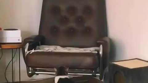 Awww 😍