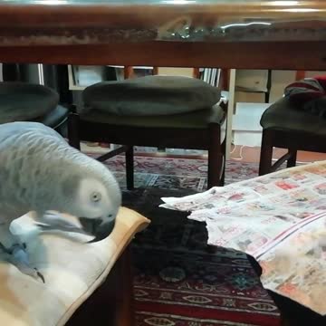 Who will clean up this paper?