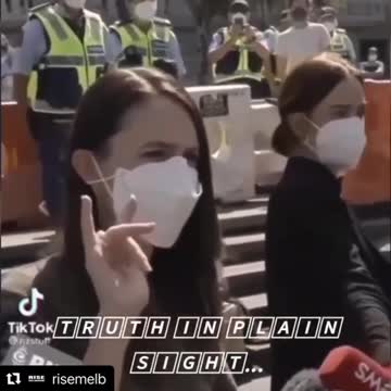 The Truth in Plain Sight...