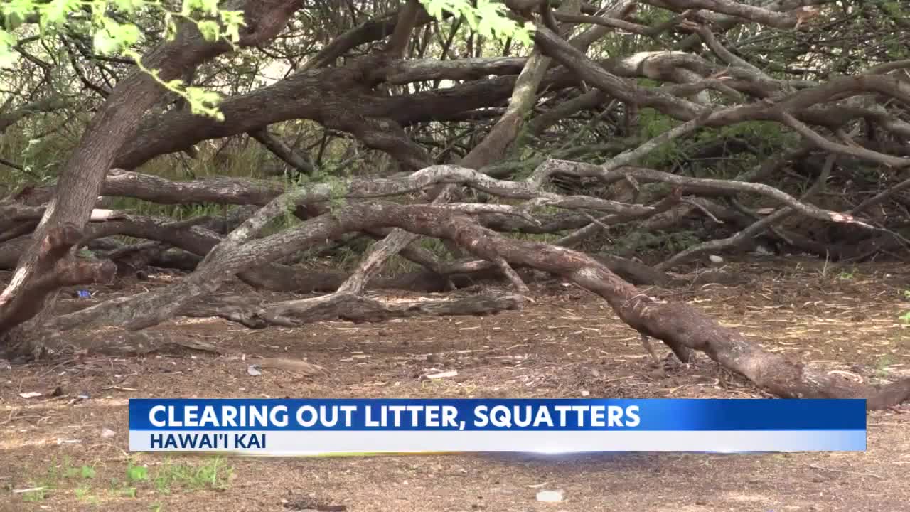 City clears out litter, squatters from undeveloped Hawaii Kai property, but some want more action