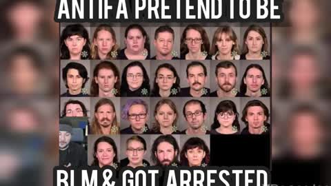 BRIGHT LITTLE MORONS