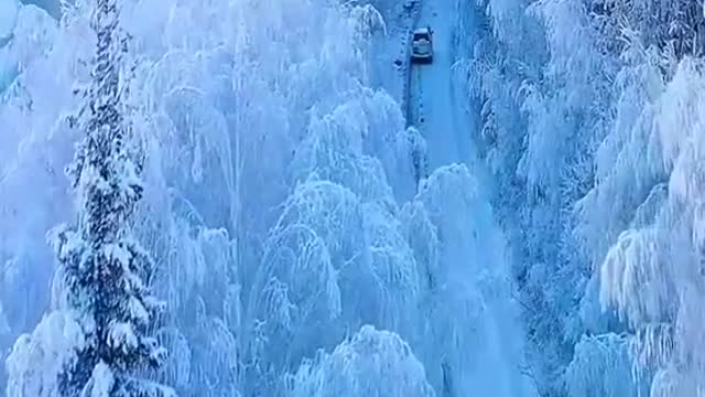 Try and enjoy the beautiful and unique views of winter and winter