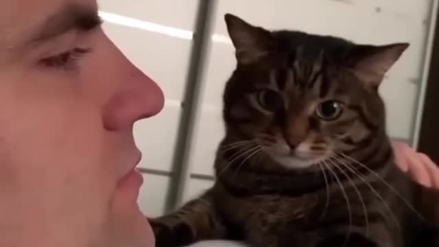 AWW🥰Amazing Cute Cats Viral Clips