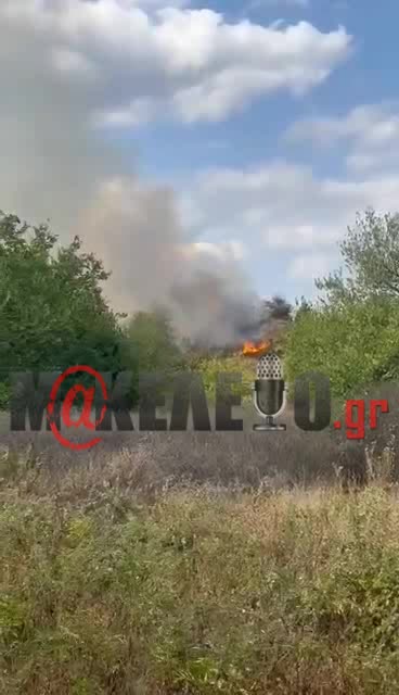 Φωτιά στα Λάβαρα Σουφλίου