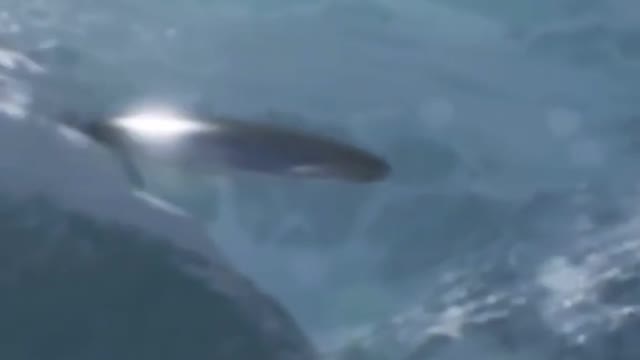 UFO this one looks real🚀💥🤷🏻‍♂️