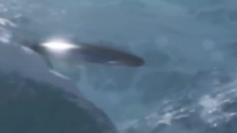 UFO this one looks real🚀💥🤷🏻‍♂️