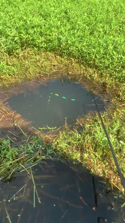 Amazing Fishing 🐟 Best Asian Rural Fishing