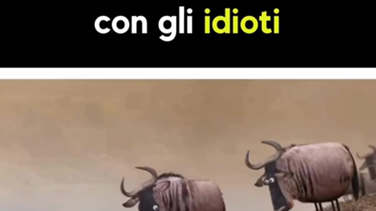 La Lezione Divertente dei Due Buoi: Perché Non Discutere con Idioti! #AnimazioneComica