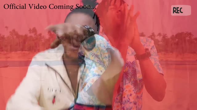 Garnish Lichiano - wahala (snippet)