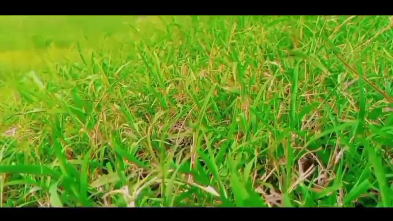 My First vlog My life Frist Video on YouTube