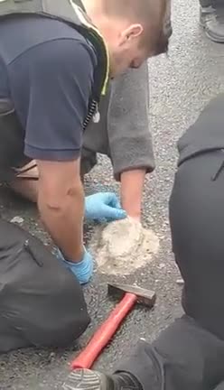 Der Wahnsinn kennt keine Grenzen!