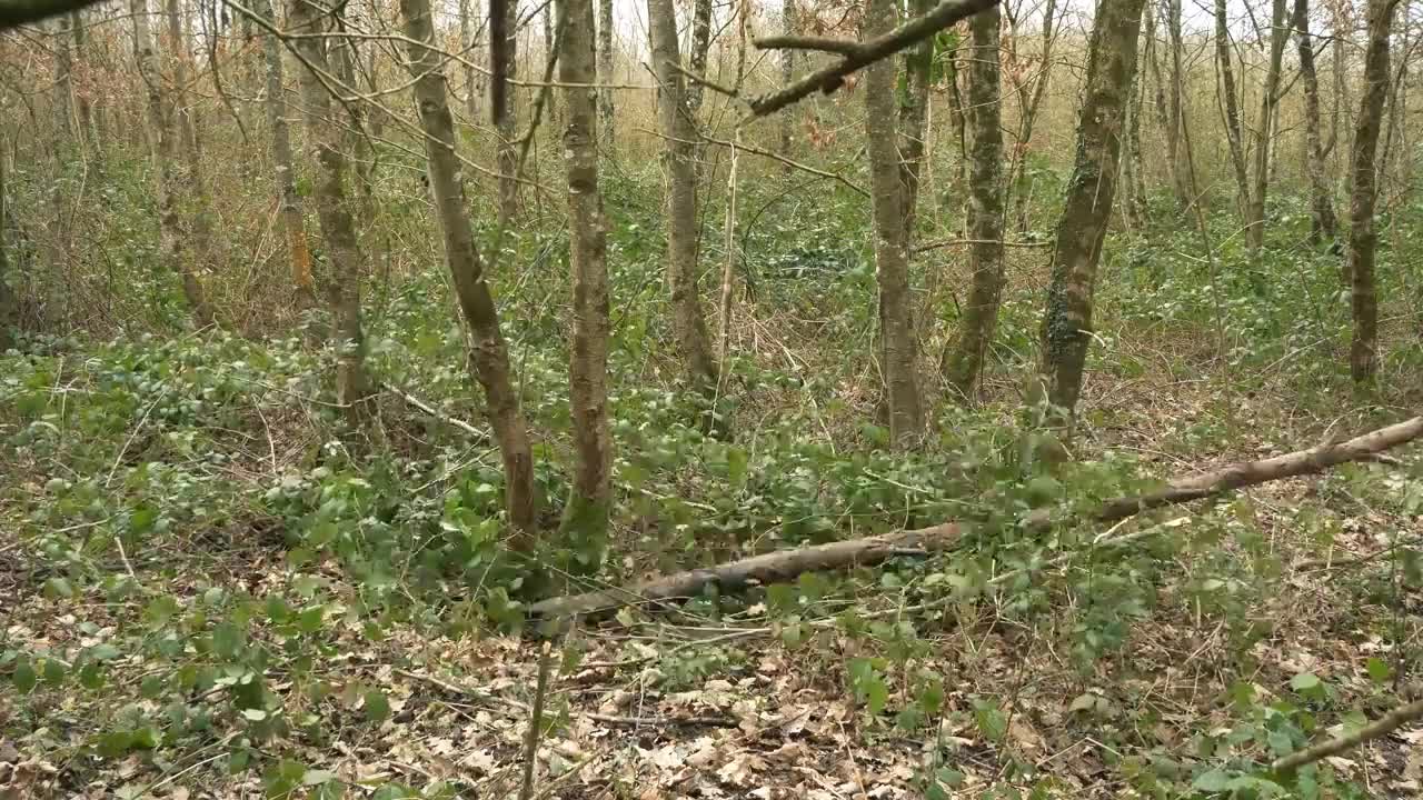 The jungle shelter is like the fortress you used to build when you were a child.