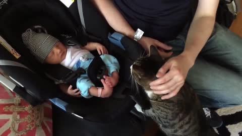 Cats Meeting Babies for the FIRST Time. [Compilation]