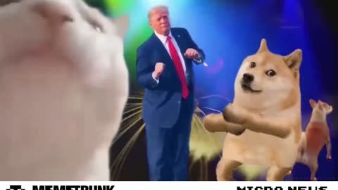 They’re Eating the Cats #TrumpyDance