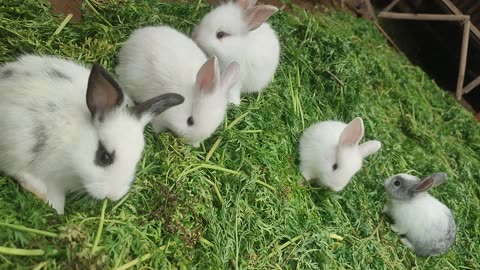 First time playing outside the cage 🥰💕