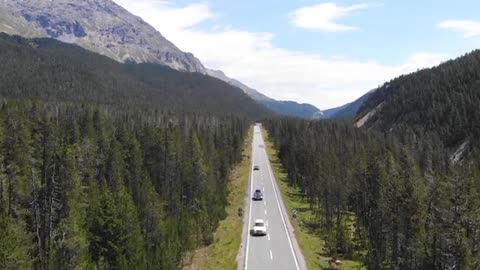 So beautiful road between green trees