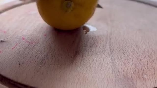 3.LEMON DOES WHAT_ #shorts