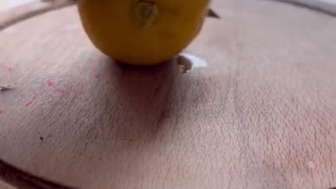 3.LEMON DOES WHAT_ #shorts