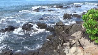 Lahaina, HI — Honokeana Bay