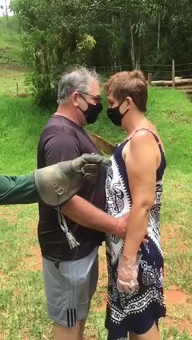 The eagle’s amazing ability