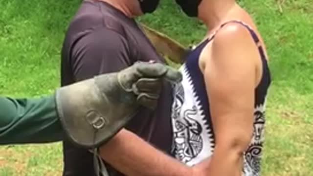 The eagle’s amazing ability