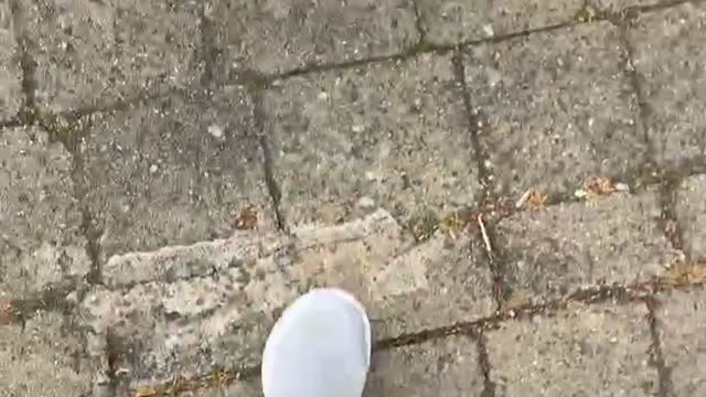 Jeff Winter real name David Synott Dublin TULAND