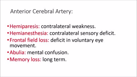 Anterior cerebral artery stroke | signs and symptoms.