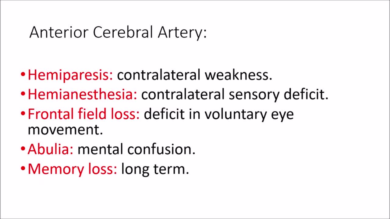 Anterior cerebral artery stroke | signs and symptoms.