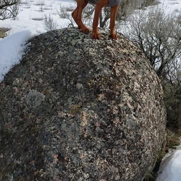 Climb, Climb, How Do I Get Down?