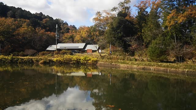 What a beautiful place in Nara Japan #1