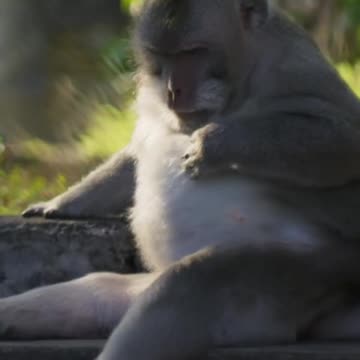 Like a boss 😎 #PlanetEarth3