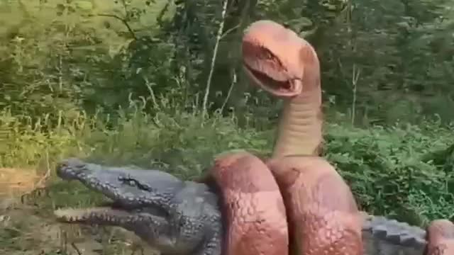 Python ANACONDA 🐍Vs Crocodile