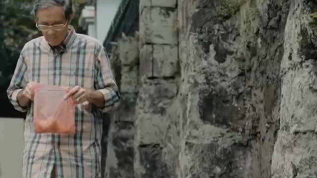 Dog se love 💞💞