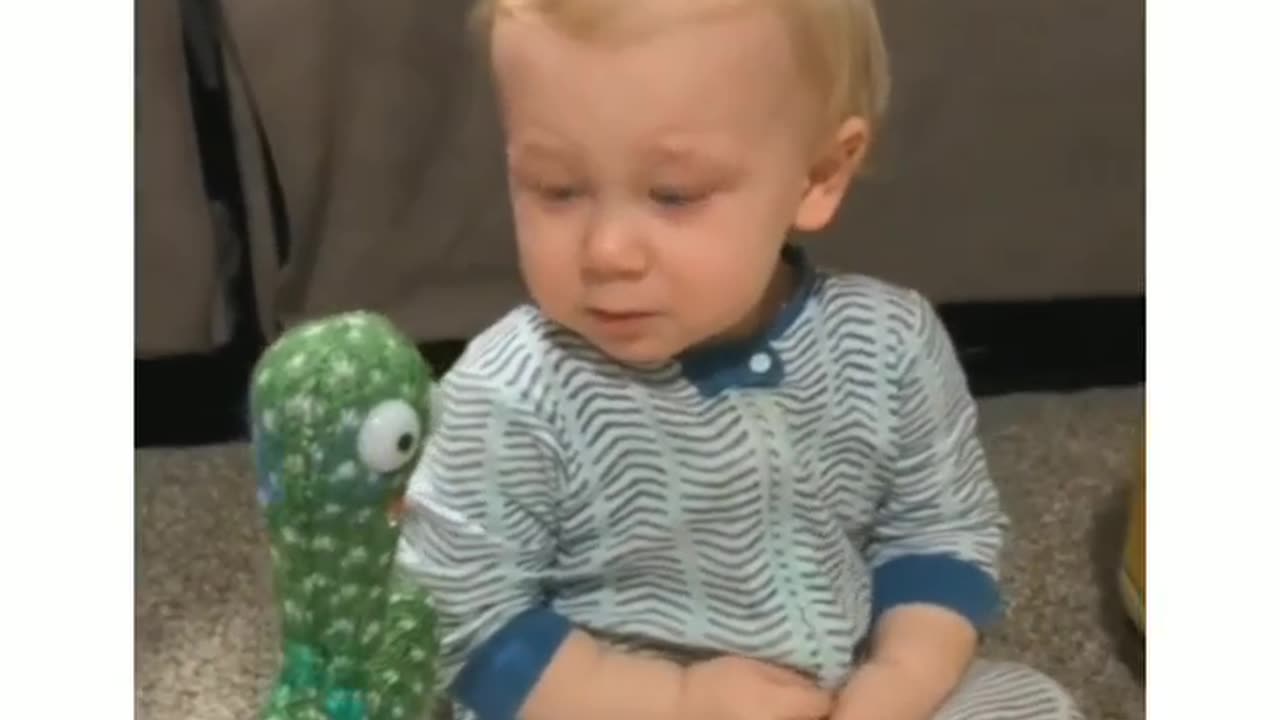 Adorable Babies Groove with Groovy Cactus Toy!