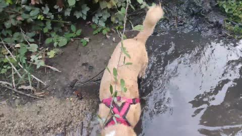 2022-07-11 (7) - Aimez-vous la pêche ? - Twitch Triskelina