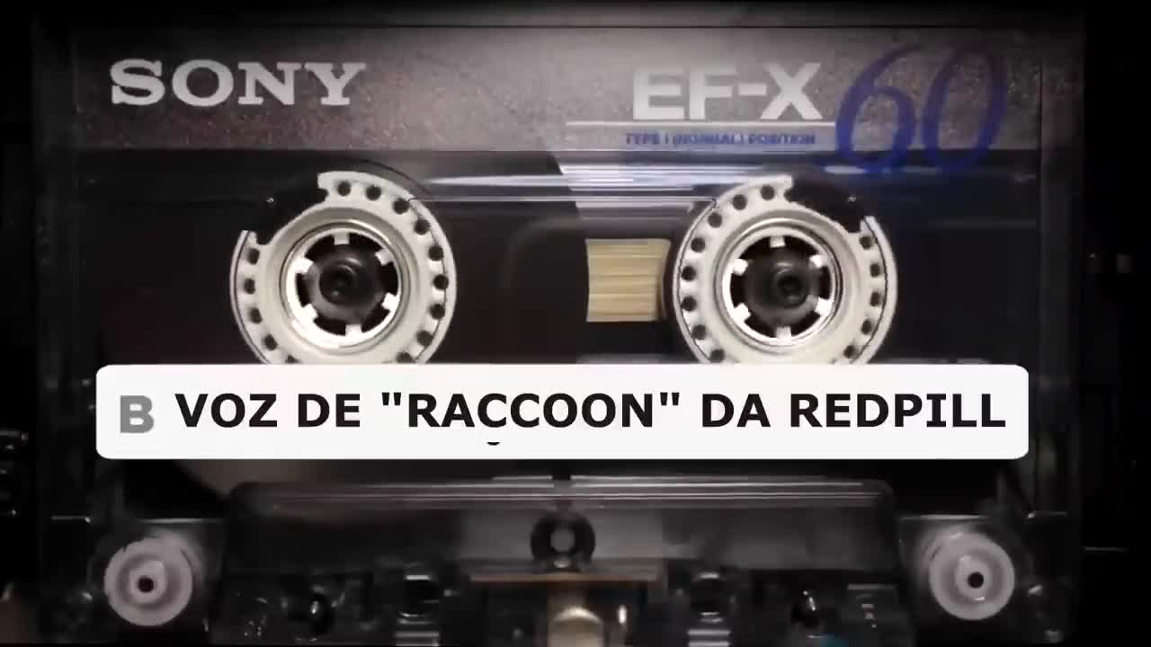 ELAS 0DEIAM HOMENS QUE FALAM ISSO PARA OS OUTROS HOMENS... Voz de Raccoon da Redpill