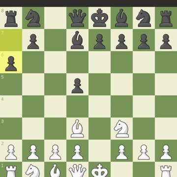 Chess shorts/ video