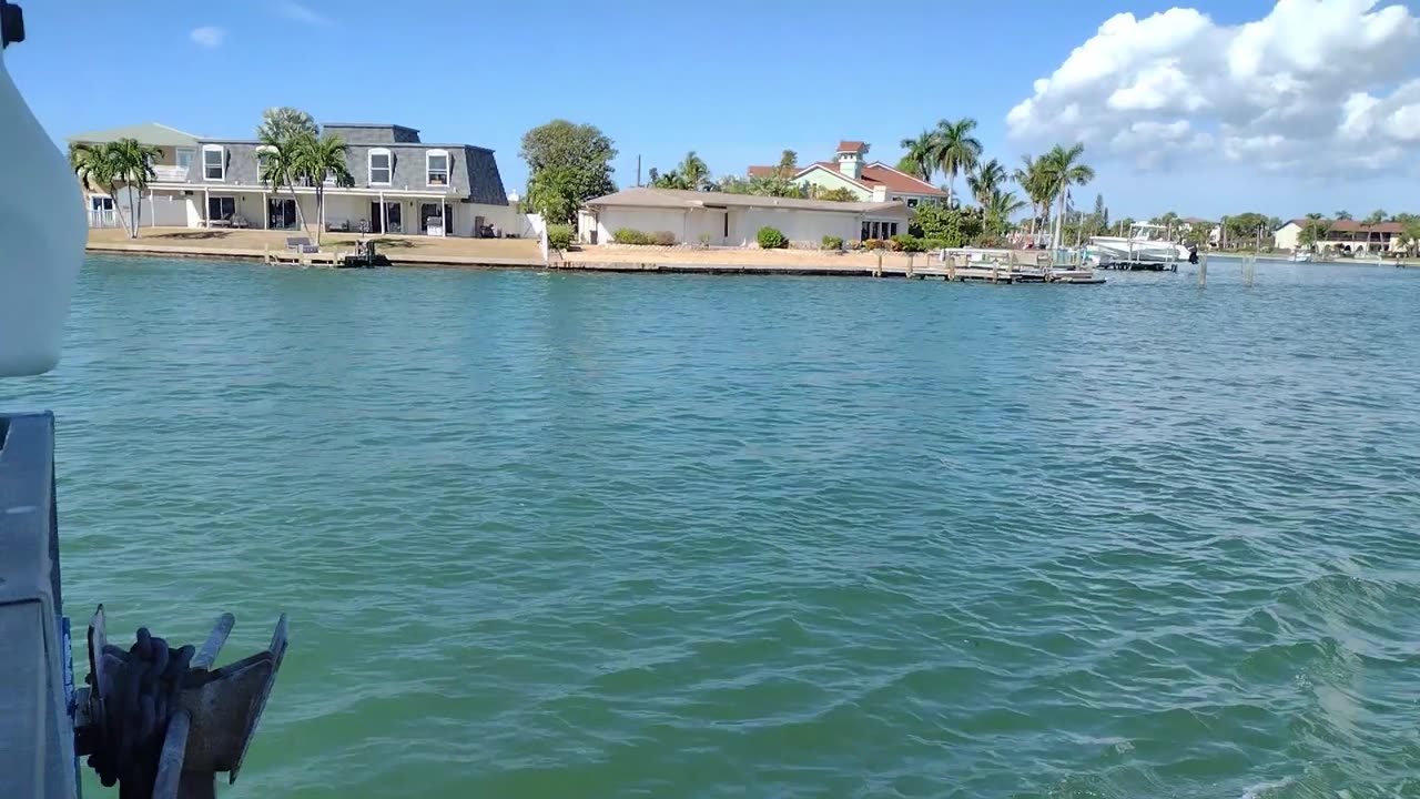 Join me on my Dolphin Cruise