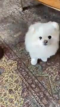 ZHrvm92Mx5T8RiXDWgttGN