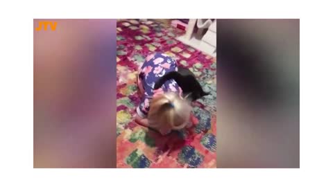 cute babies playing with funny cats