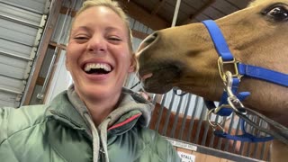 Horse Rubs Nose Against Lady's Ear