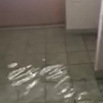 Adventures Of Home Buying