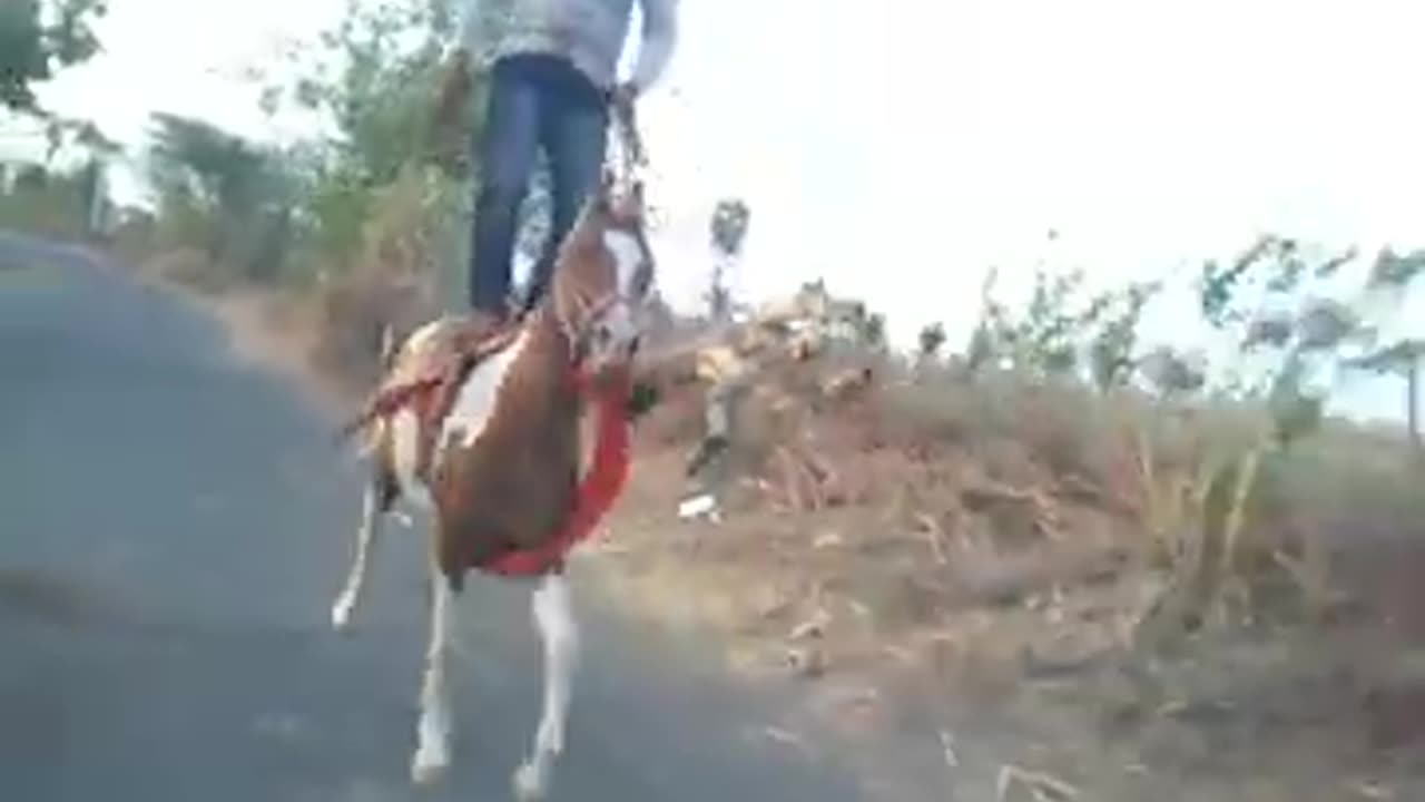 Man stand on running horse.